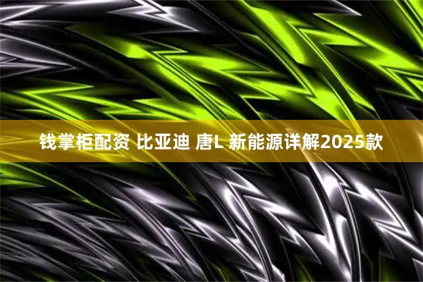 钱掌柜配资 比亚迪 唐L 新能源详解2025款