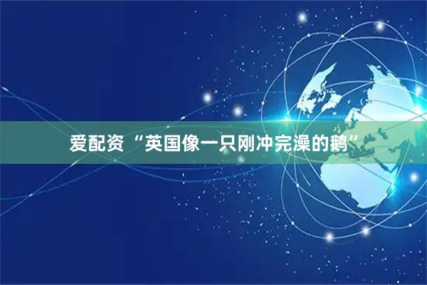 爱配资 “英国像一只刚冲完澡的鹅”