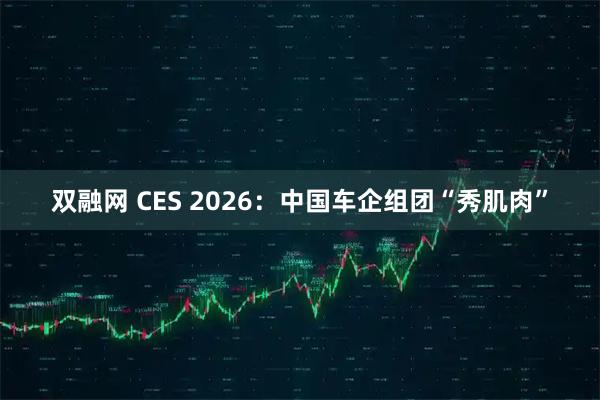 双融网 CES 2026：中国车企组团“秀肌肉”